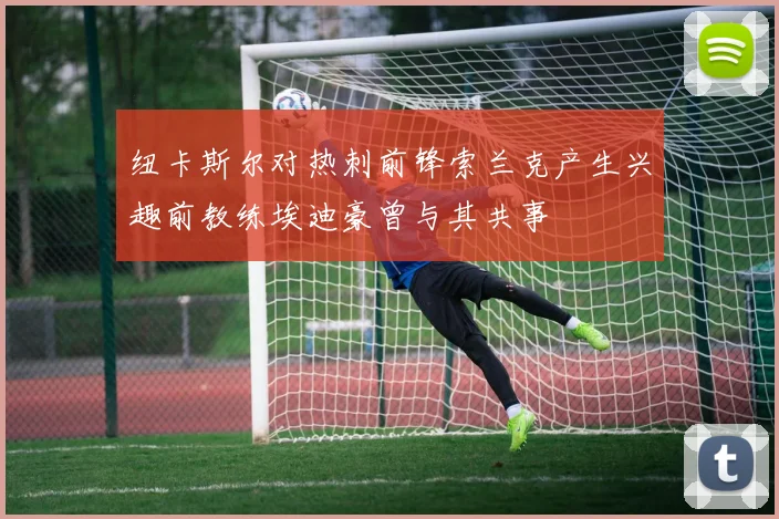 纽卡斯尔对热刺前锋索兰克产生兴趣前教练埃迪豪曾与其共事