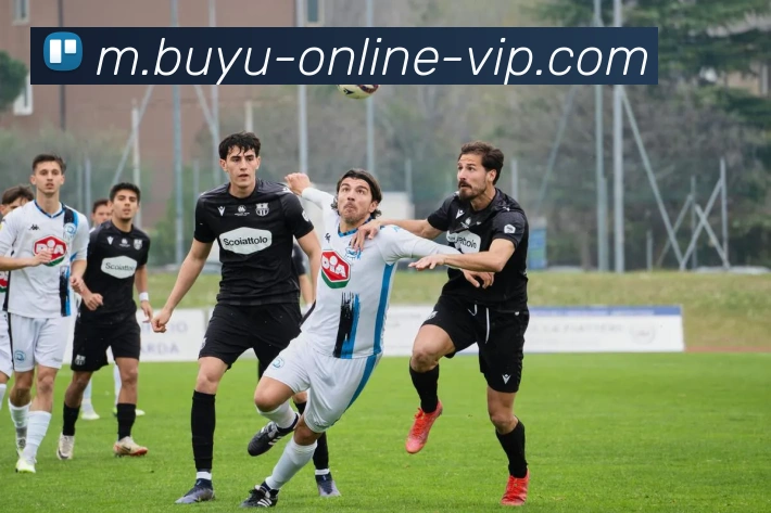 线上捕鱼APP 封面图