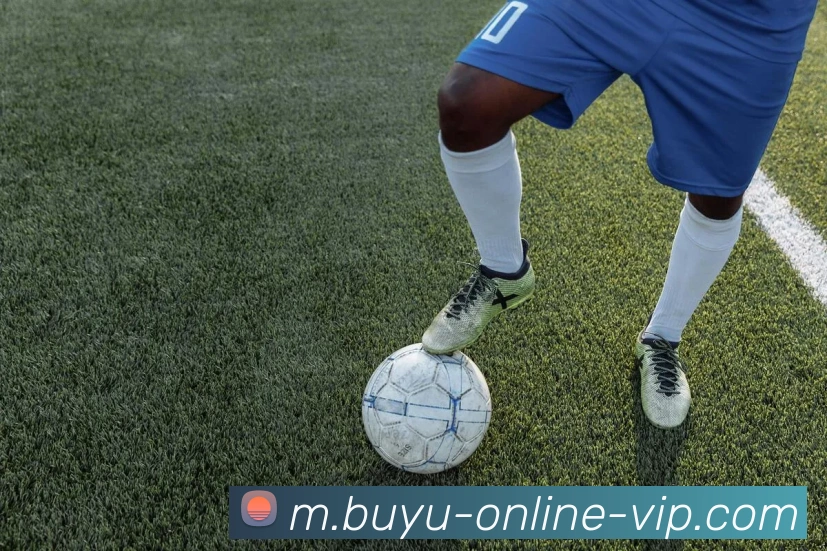 数据防护可视化